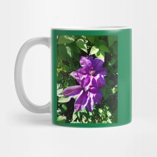 Purple clematis photograph Mug